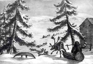 Reindeer-drawn sledges by Brooke, Sir Arthur de Capell