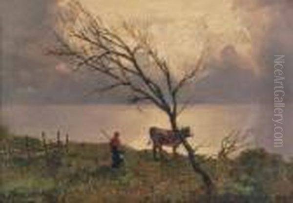 Riflessi Sul Tramonto - view 1
