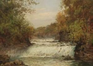 Cascate Presso Le 
Cacce Reali
