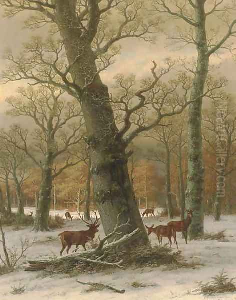 Deer in a Forest - view 1