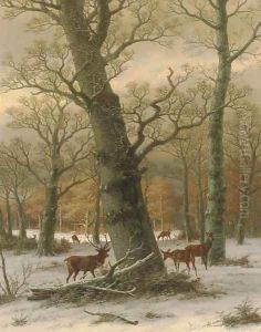 Deer in a Forest