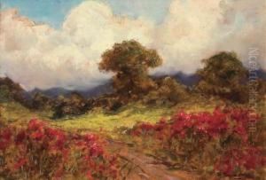 Primavera In Fiore by Giuseppe Buscaglione