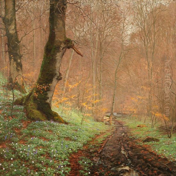 Early Spring Day In A Forest - view 1
