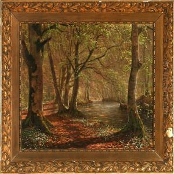 Spring Forest Scene - view 1