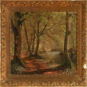 Spring Forest Scene Spring Forest Scene