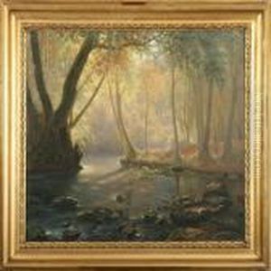 Forest Scene With Sunlitstream Forest Scene With Sunlitstream