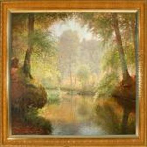 A Spring Forest Scenery A Spring Forest Scenery