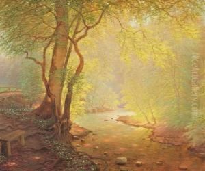 A Forest Scenery A Forest Scenery