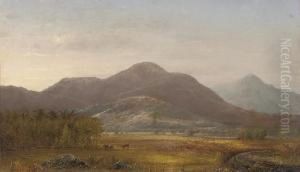 Finney Peak, The Catskill Mountains