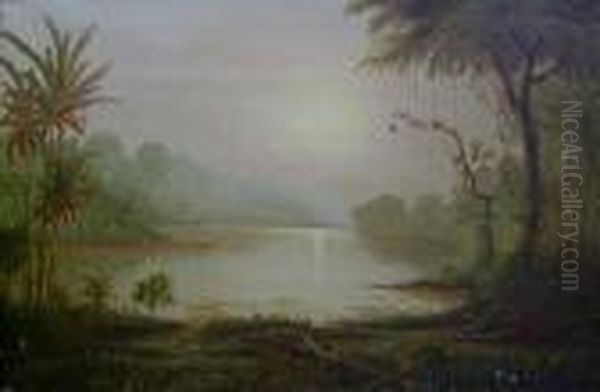 Tropical Landscape - view 1