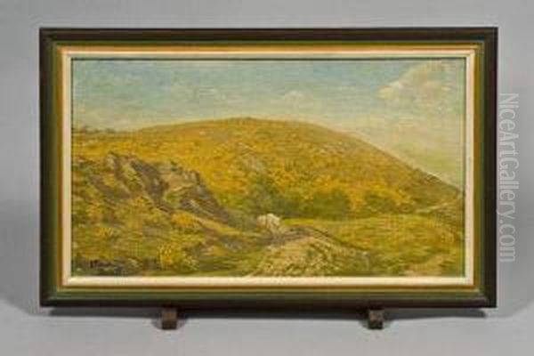Paysage - view 1