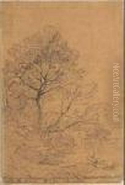 Paesaggio - view 1