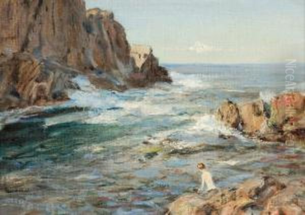 Maine Coast - view 1
