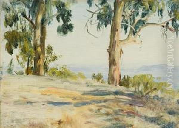 Montecito Vista - view 1