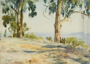 Montecito Vista