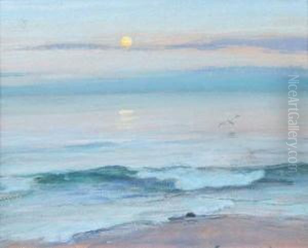 Moonlight Over The Sea With Gull - view 1