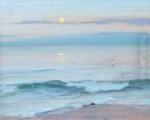 Moonlight Over The Sea With Gull