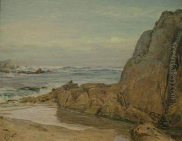 Rock Study, Monterey, California - view 1