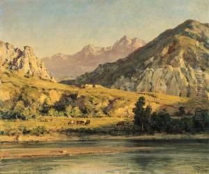 Sunlit Pasture