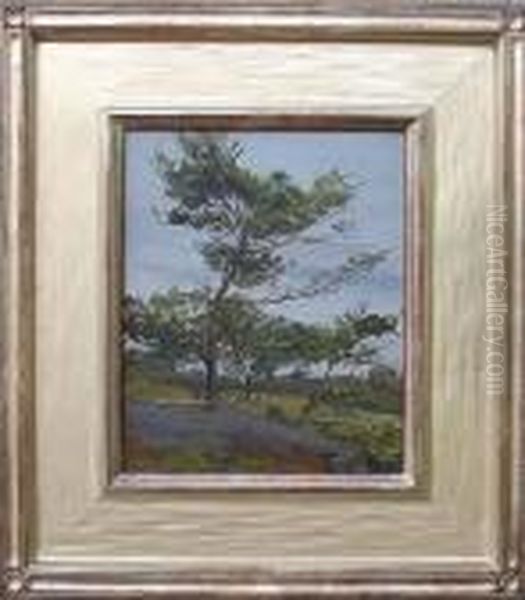A Lone Pine - view 1
