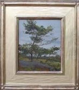 A Lone Pine