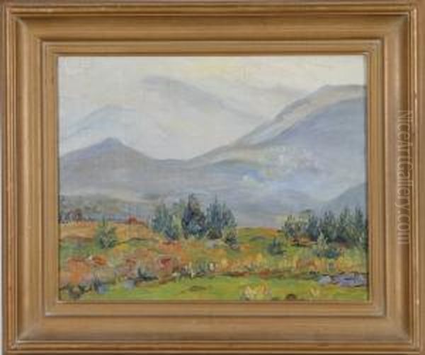 Landscape - view 1