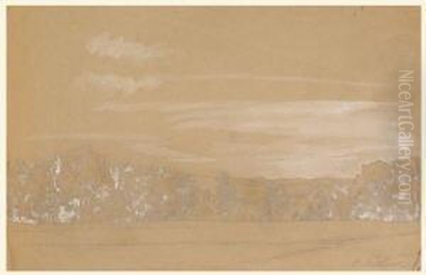 Baumbestandene Landschaft - view 1