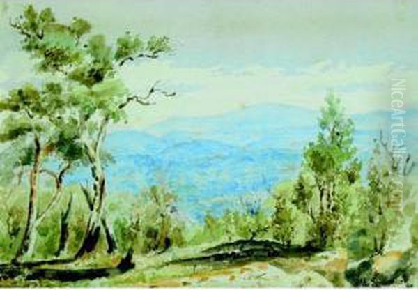 Landscape - view 1