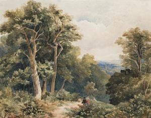 Picnic Near Lilydale