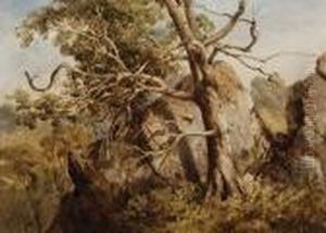 Hanging Rock by Abraham Louis Buvelot