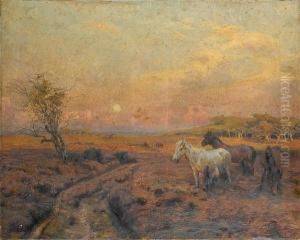 Moonrise Before Sunset In The New Forest
