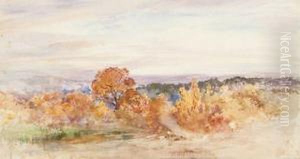 Paysaged'automne - view 1