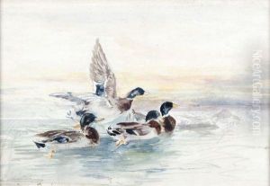 Les Canards by Joseph Cabasson