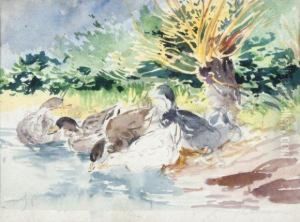 Les Canards by Joseph Cabasson