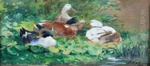 Les Canards. - view 1