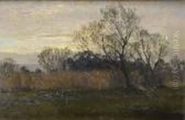 Paysage - view 1
