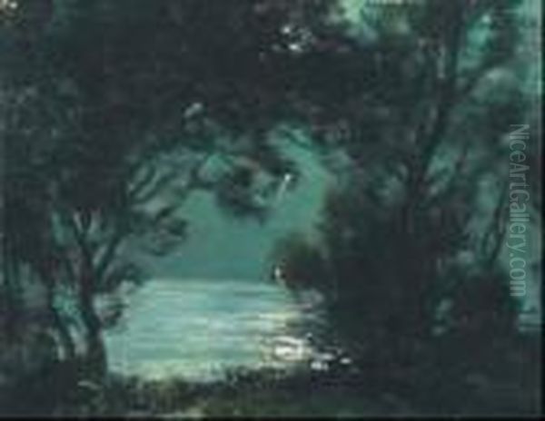 Lac D'aiguebelle, Sous La Lune - view 1