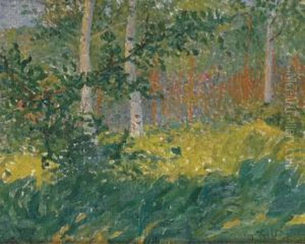 Foret De Fontainebleau - view 1