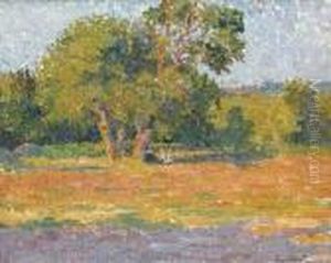 Paysage Avec Des Arbres Paysage Avec Des Arbres