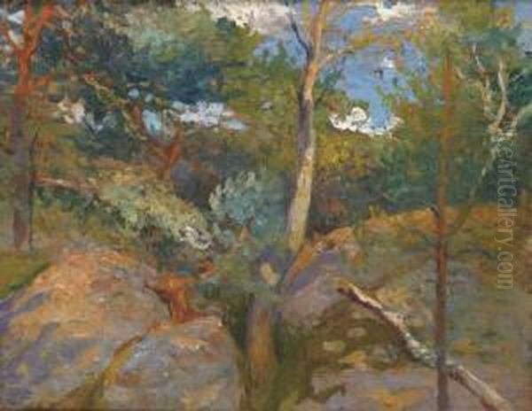 Rochers Et Arbres Dans La Foret De Fontainebleau - view 1