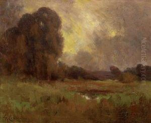 Marsh Landscape - view 1