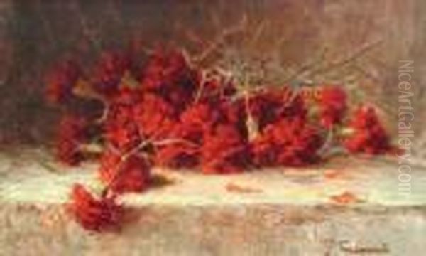 Red Carnations - view 1