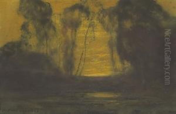 Eucalyptus Lane At Sunset - view 1