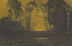 Eucalyptus Lane At Sunset by Giuseppe Cadenasso