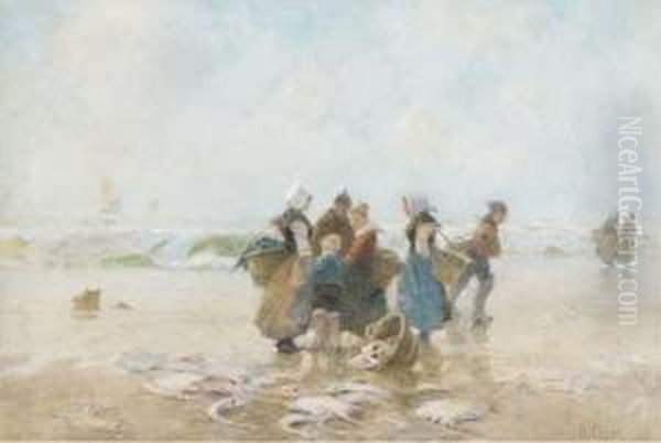 The Day's Catch - view 1