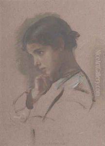 The young beauty by John Bagnold Burgess