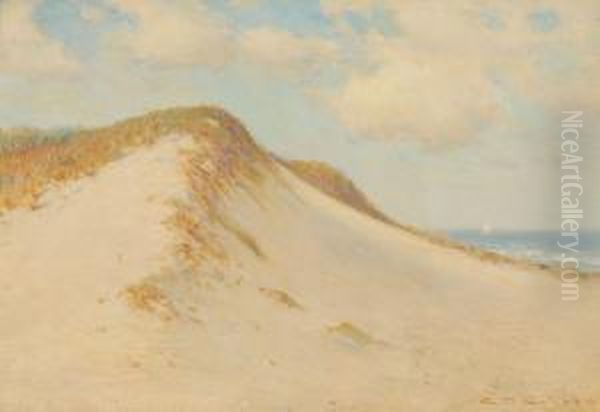 Cape Cod Dunes - view 1