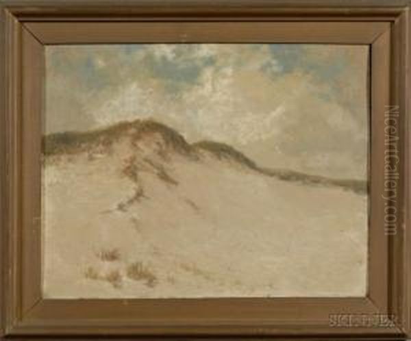 Cape Cod Sand Dunes - view 1