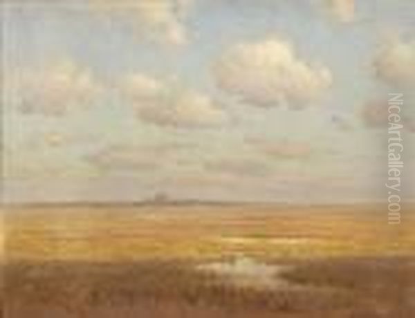 American, - Cape Cod Marsh - view 1