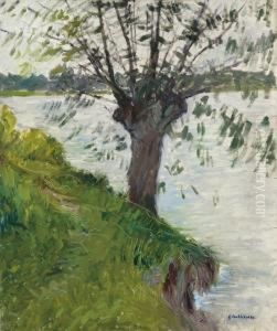 Saule Au Bord De La Riviere by Gustave Caillebotte